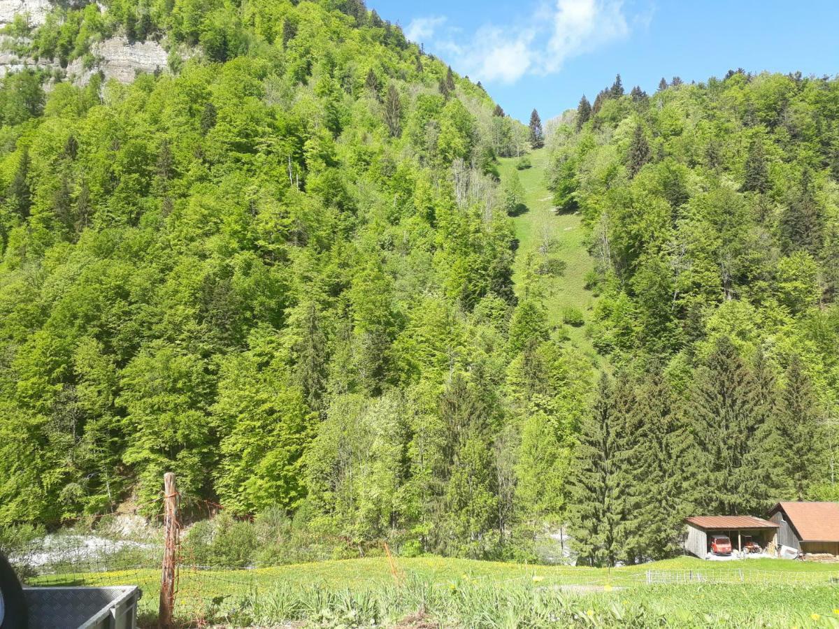 Апартаменти Bauernhof Farnach Андельсбух Екстер'єр фото